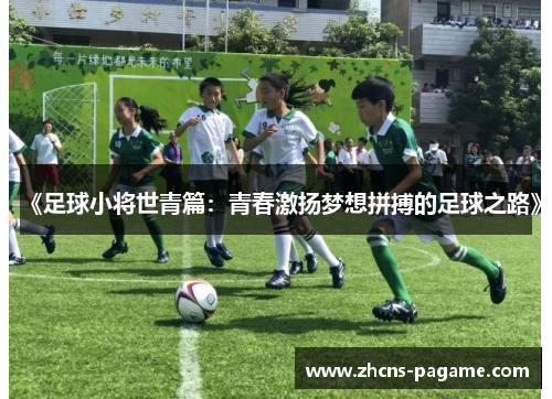 《足球小将世青篇：青春激扬梦想拼搏的足球之路》