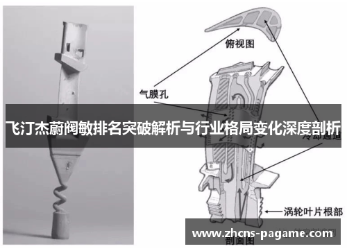 飞汀杰蔚阀敏排名突破解析与行业格局变化深度剖析