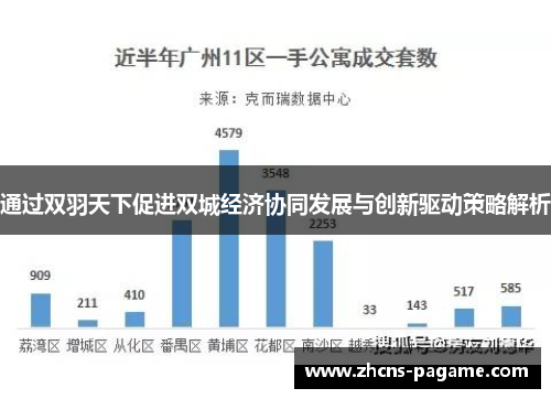 通过双羽天下促进双城经济协同发展与创新驱动策略解析