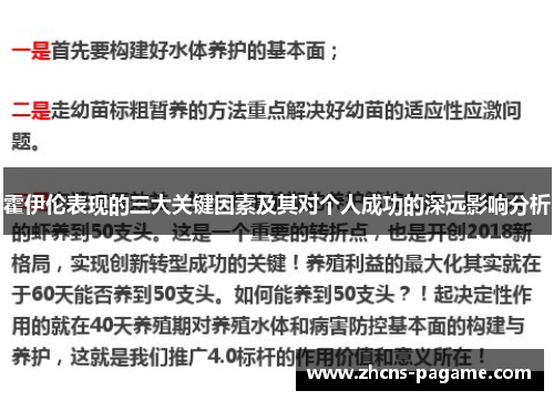 霍伊伦表现的三大关键因素及其对个人成功的深远影响分析